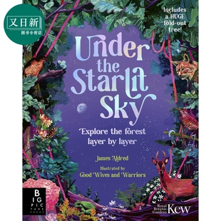 Starlit 又日新 科普图画书 欧洲森林大自然 Under the 英文原版 星夜下 Sky 儿童绘本 预售 故事 进口图书 精美大折叠页