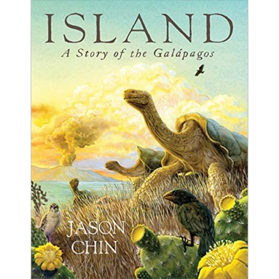 Jason Chin Island 岛  陈振盼 英文原版 进口图书 儿童绘本 故事图画书 海龟 海岛岛屿 生态环境知识科普 动植物绘本 又日新