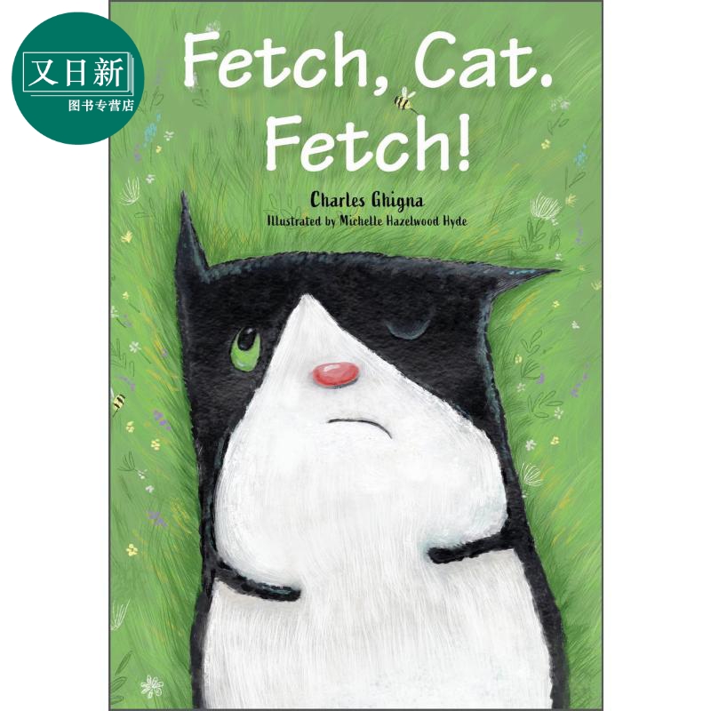 我的猫 Charles Ghigna Fetch Cat Fetch 英文原版 儿童绘本 动物故事图画书 精装故事绘本 进口儿童读物童书 又日新