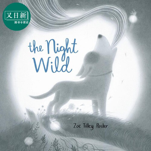 狂野之夜 Zoe Tilley Poster The Night Wild 英文原版 动物故事图画书 儿童绘本 精装儿童读物故事书 企鹅童书 又日新