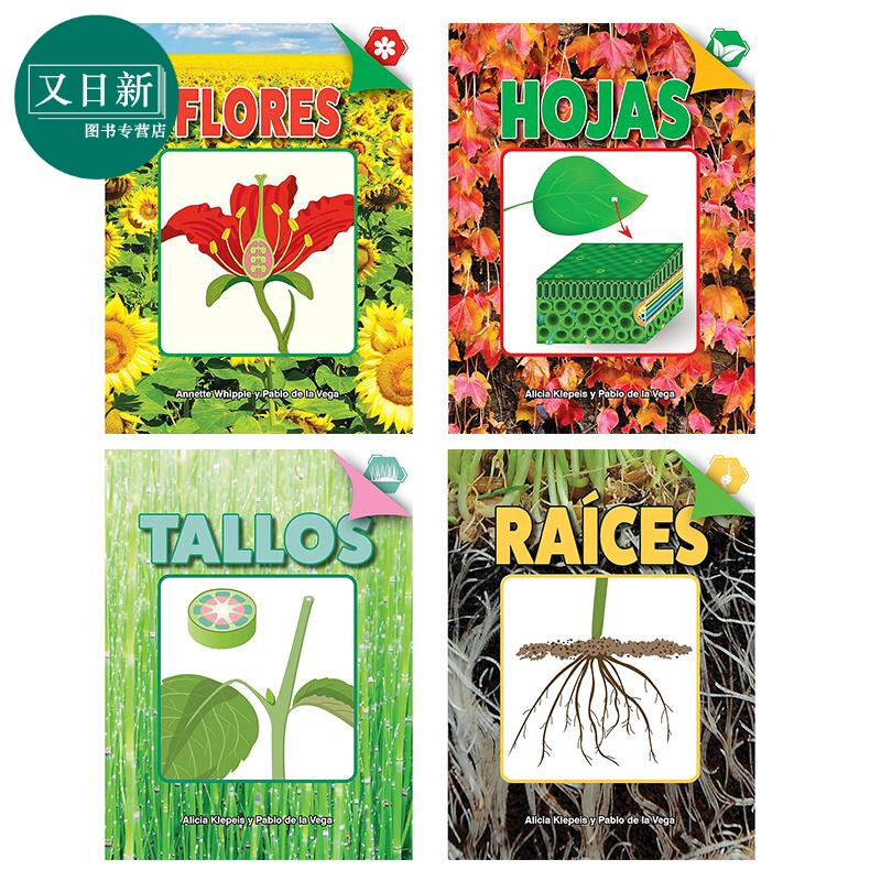 Spanish Science Readers 西班牙语少儿科普读物 植物系列4册套装 2-4年级 7-10岁 花朵Flores 叶Hojas 根Raíces 茎Tallos ?