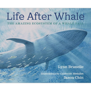 陈振盼 一鲸落万物生 Jason Chin Life After Whale 英文原版 儿童科普绘本 自然科学知识图画书 精装 进口图书 又日新