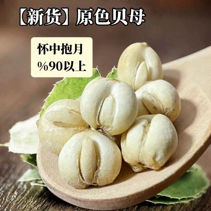 四川贝母100g头茬新货正品阿坝深山怀中抱月无硫熏制旗舰店