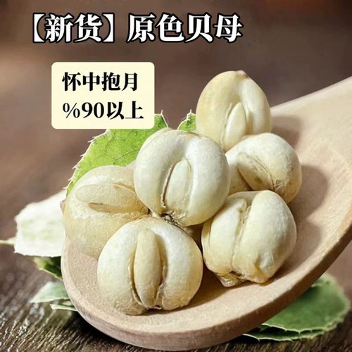 四川贝母100g头茬新货正品阿坝深山怀中抱月无硫熏制旗舰店