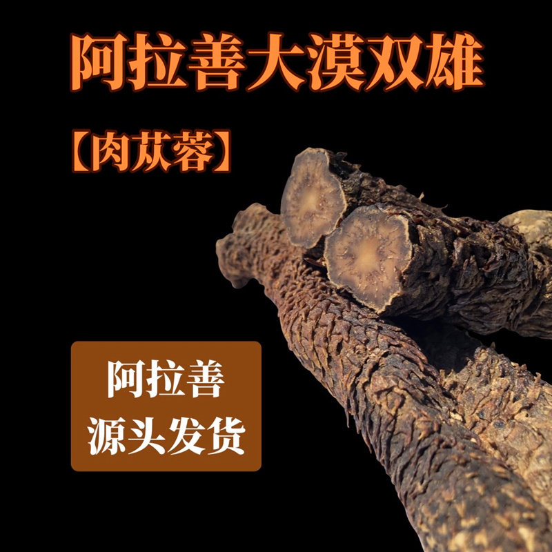 内蒙古阿拉善肉苁蓉特产级正品沙漠软油性整根中药材料秋冬新锁阳