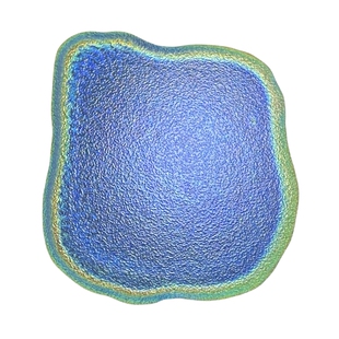 结构色 纳米纤维素 棉花 纤维素纳米晶须 磺酸根CNC光子晶体 10%