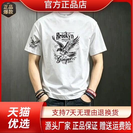 师凯服饰Amphelisia潮牌短袖圆领宽松男夏季休闲半袖百搭透气T恤
