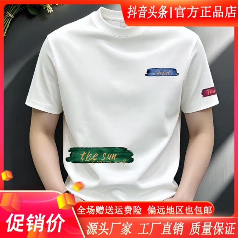 师凯服饰Amphelisia新款英文男短袖T恤上衣潮流修身正肩痞帅圆领