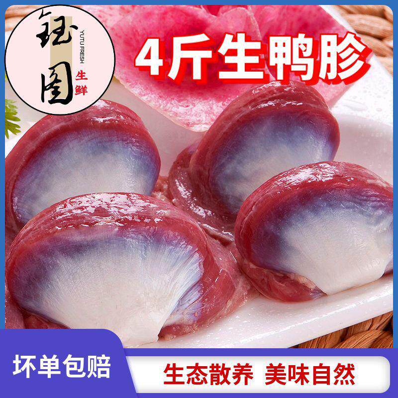 新鲜鸭肫装冷冻鸭胗鸭胃鸭肫包邮大鸭肫鸭胗冷冻食品批发