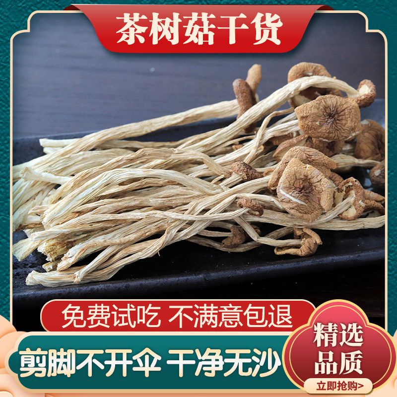 云南特产茶树菇精选干货剪脚不开伞茶树菇官方旗舰店菌菇煲汤材料