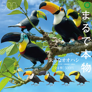 日本正版IKIMON 巨嘴鸟扭蛋 生物大图鉴犀鸟超大巨嘴鸟鵎鵼摆件