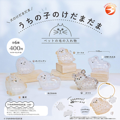 日本正版BRIGHTLINK狗毛收纳盒