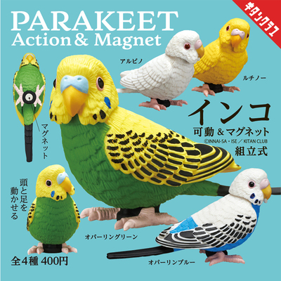 日本正版奇谭KITAN鹦鹉冰箱贴