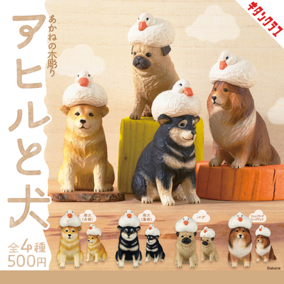 日本正版KITAN头顶鸭子的柴犬