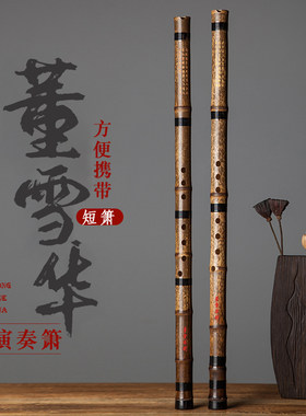 董雪华短萧紫竹箫专业六八孔乐器