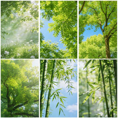 玻璃磨砂贴膜树叶绿植透光不透明