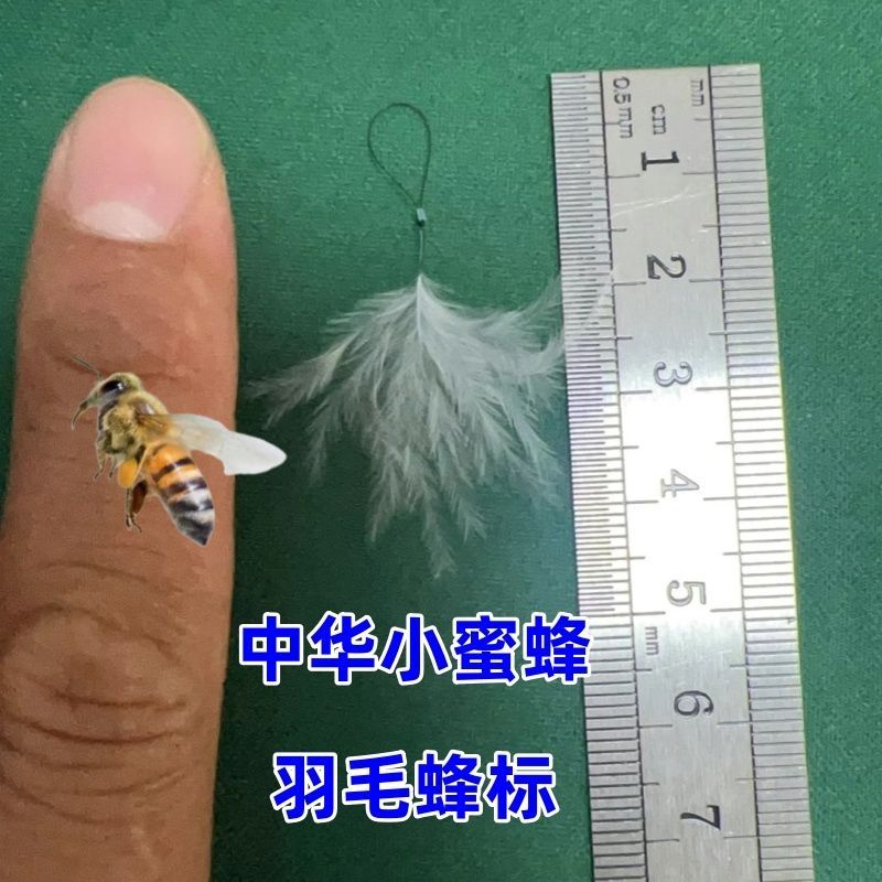 马蜂追蜂标通用材料超薄塑料标马神器黑盾一拉白色黑黄追踪长条