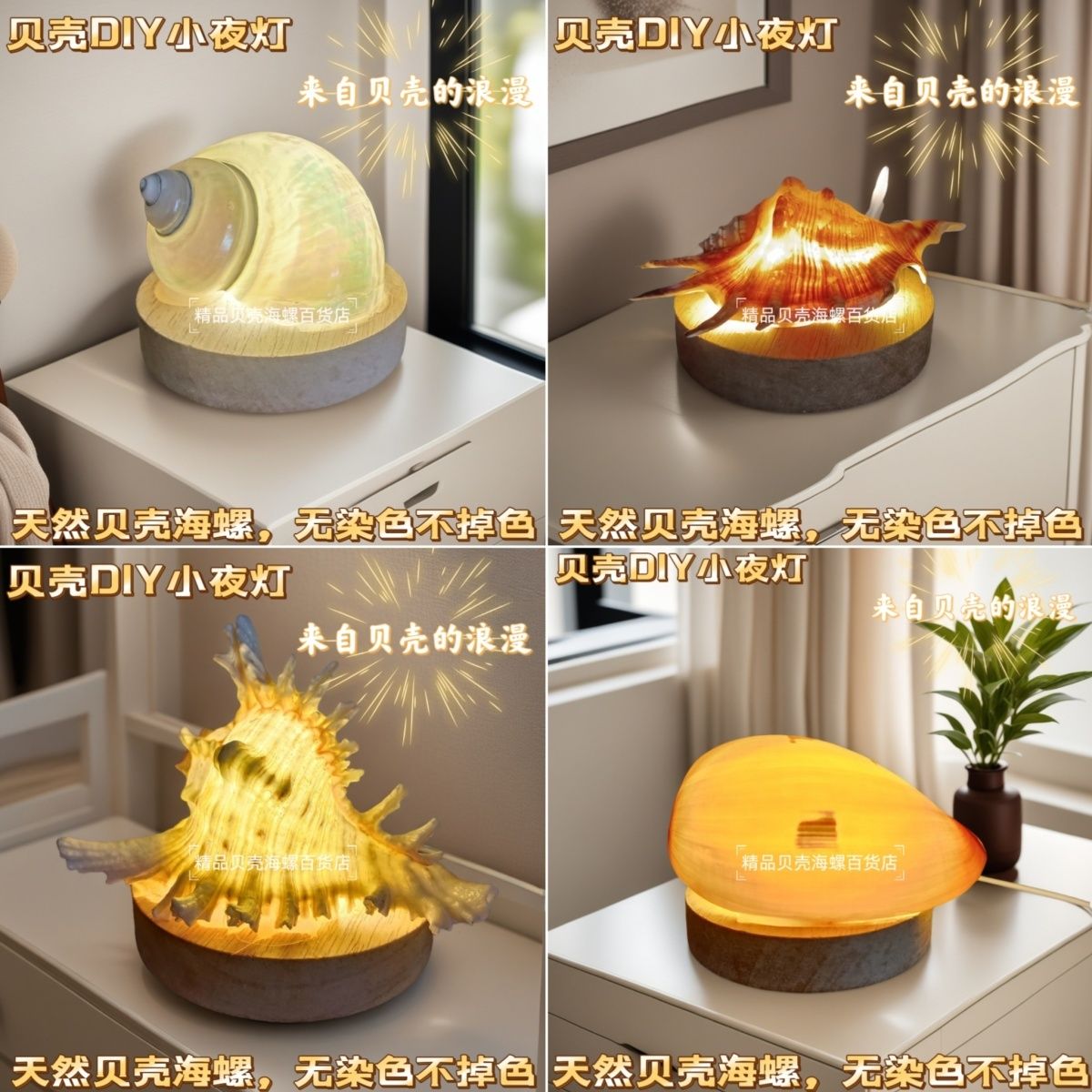 海胆灯diy材料天然海螺海胆壳迷你小夜灯 创意儿童生日礼物diy手