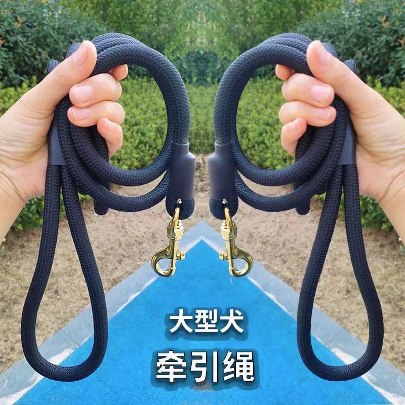 栓狗绳子农村宠物狗牵引绳加粗加长牵狗绳纯铜钩中型遛狗绳子猛犬