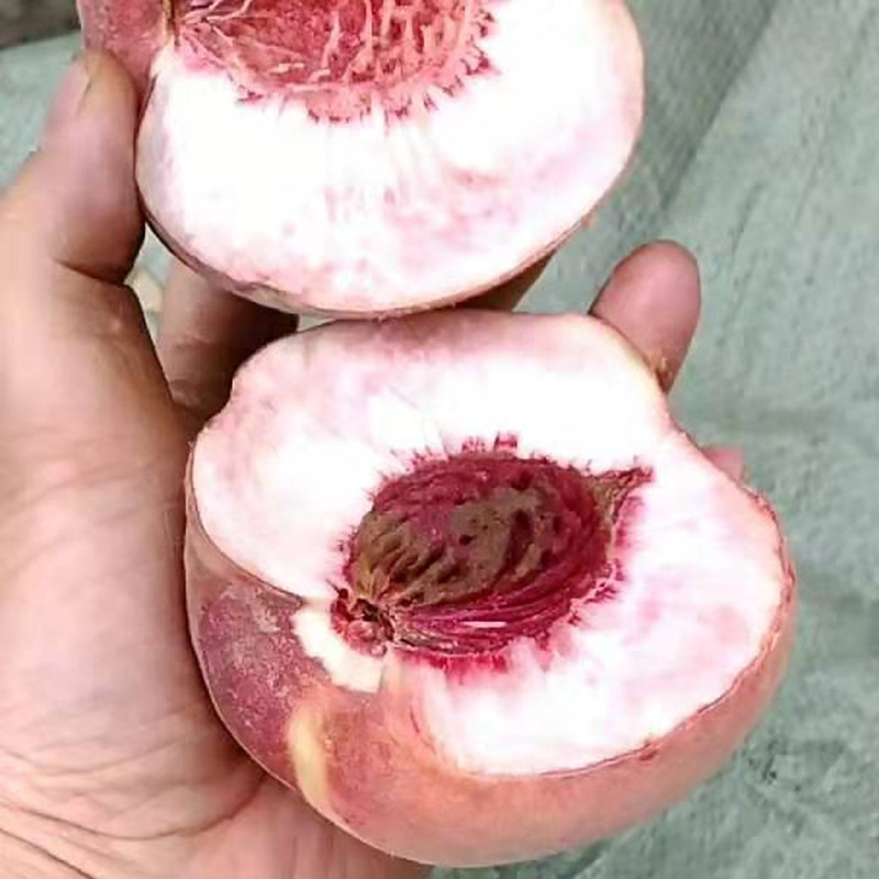 北京14号桃可掰开水蜜桃