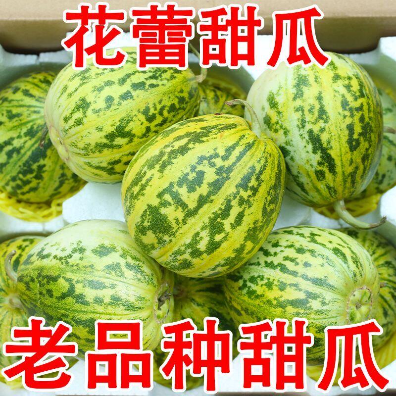 顺丰包邮现摘八里香甜瓜花蕾花美人花蜜罐脆甜多汁水果孕妇新鲜