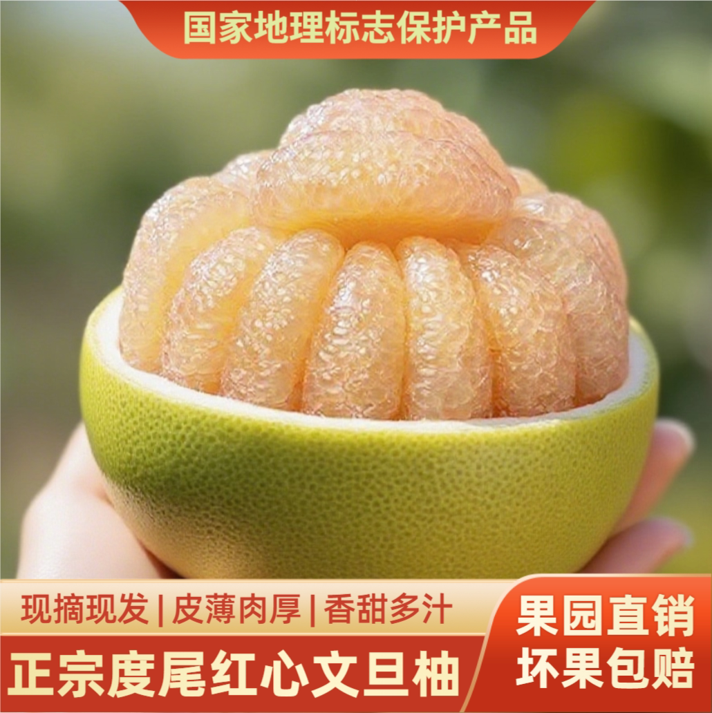 度尾正宗文旦柚子老树红心柚当季孕妇水果无籽蜜柚红心文旦柚包邮
