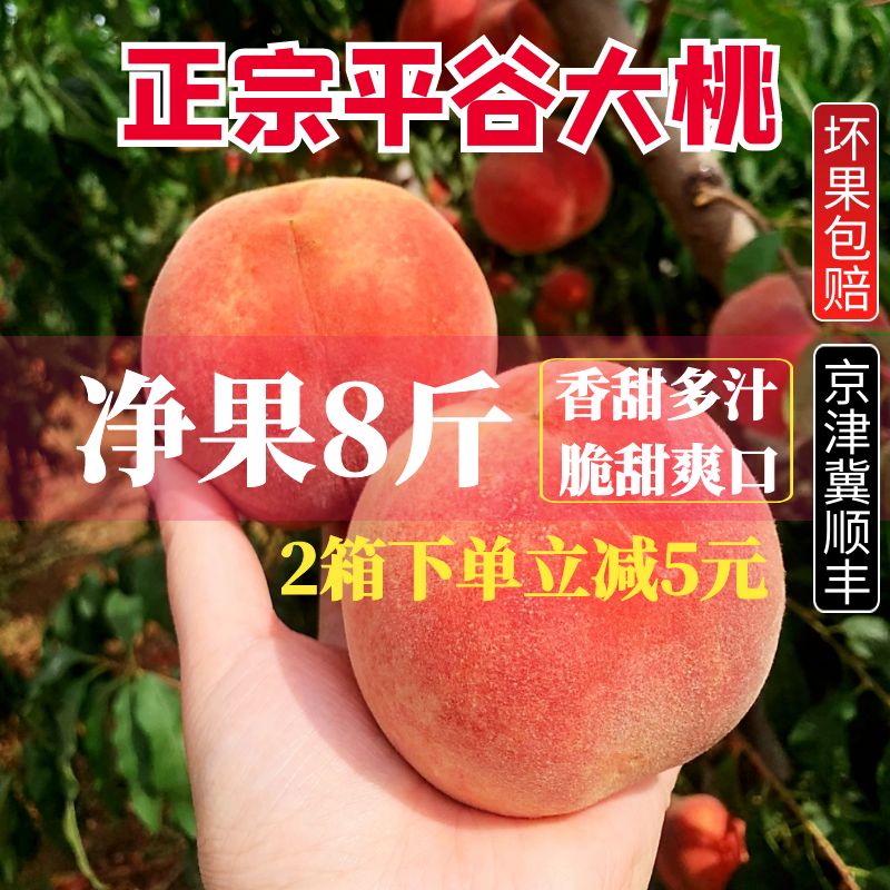 桃子正宗平谷大桃水蜜桃