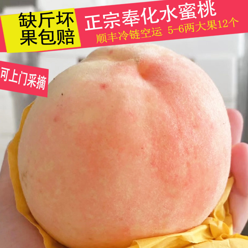 正宗浙江宁波奉化水蜜桃