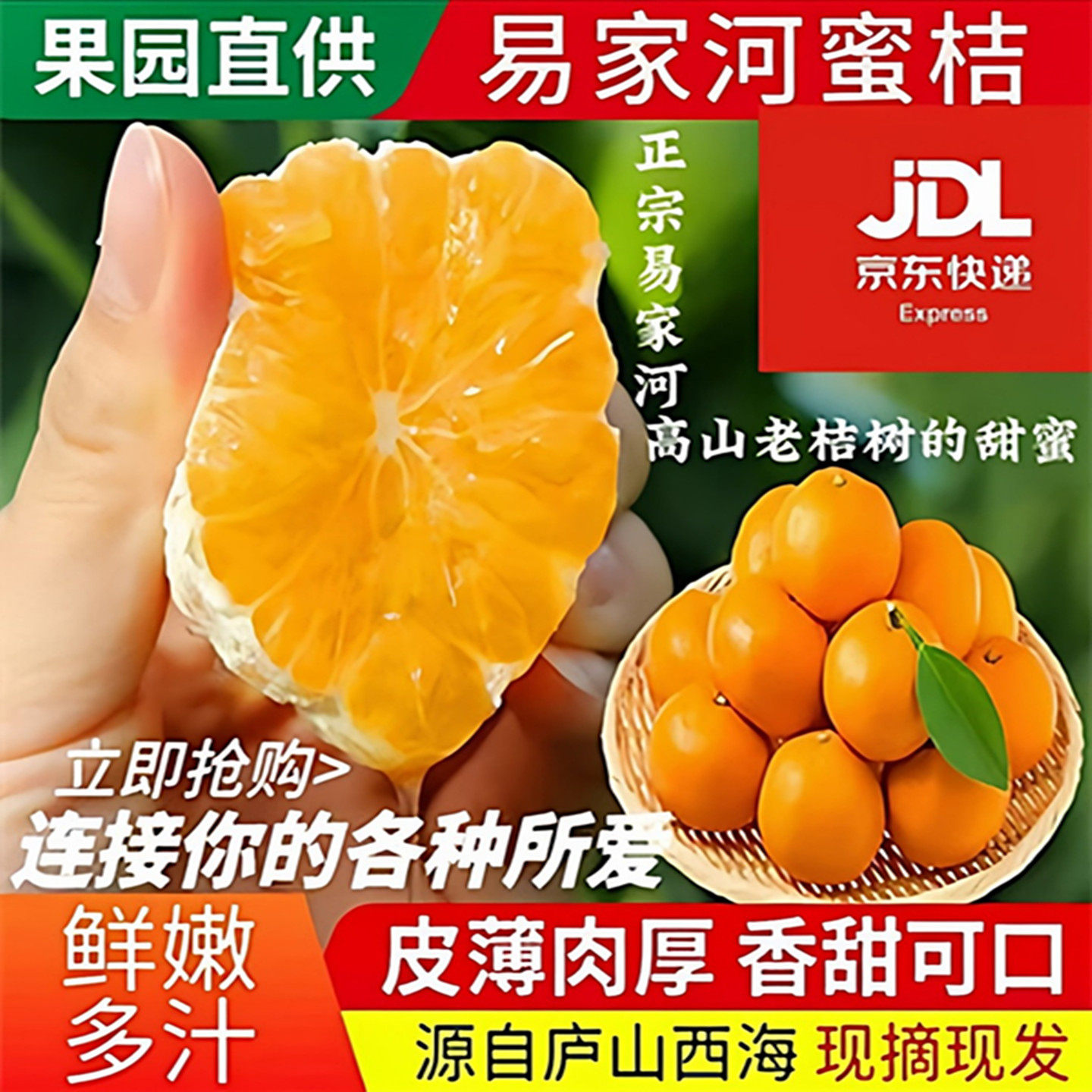 正宗庐山西海易家河蜜桔子江西无核当季新鲜水果整箱10斤非涌泉橘
