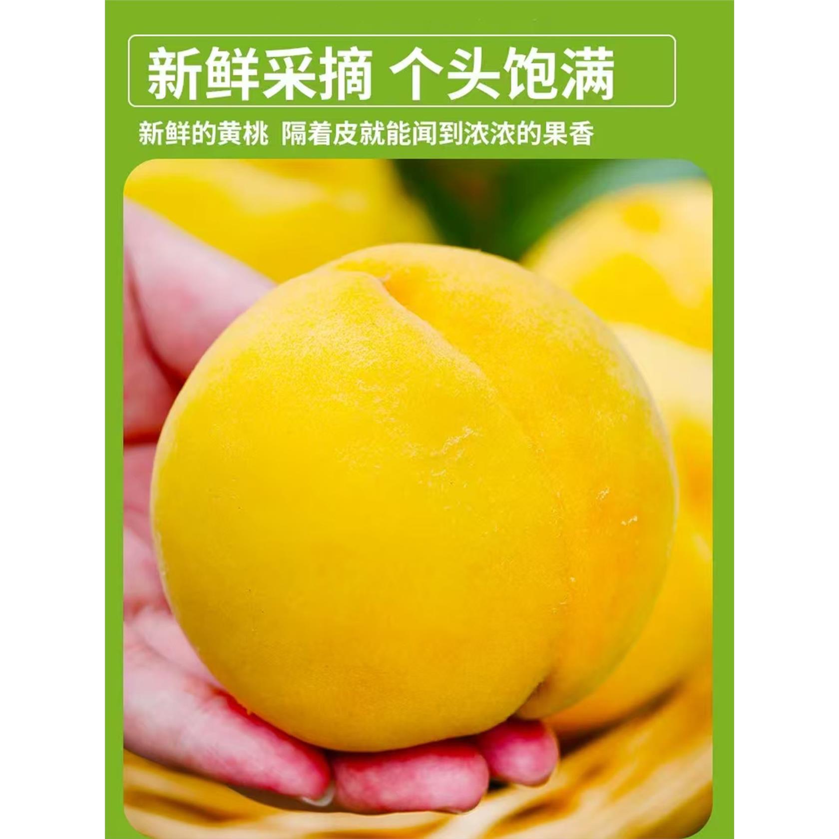 黄桃新鲜水果山东蒙阴黄