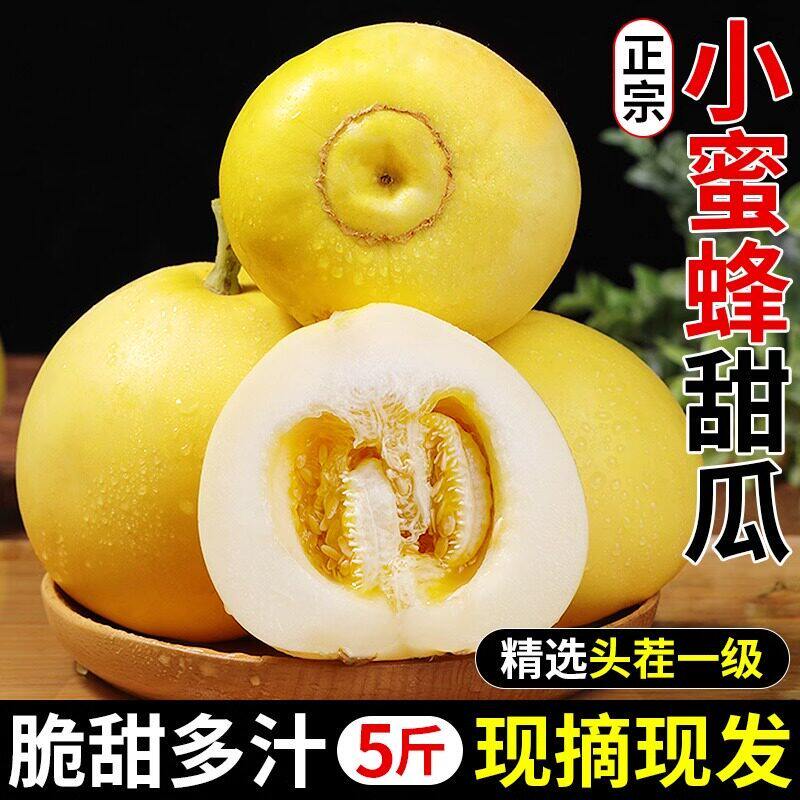 山东小蜜蜂甜瓜蜜罐甜瓜星甜20白糖罐脆甜奶香甜瓜头茬现摘大果
