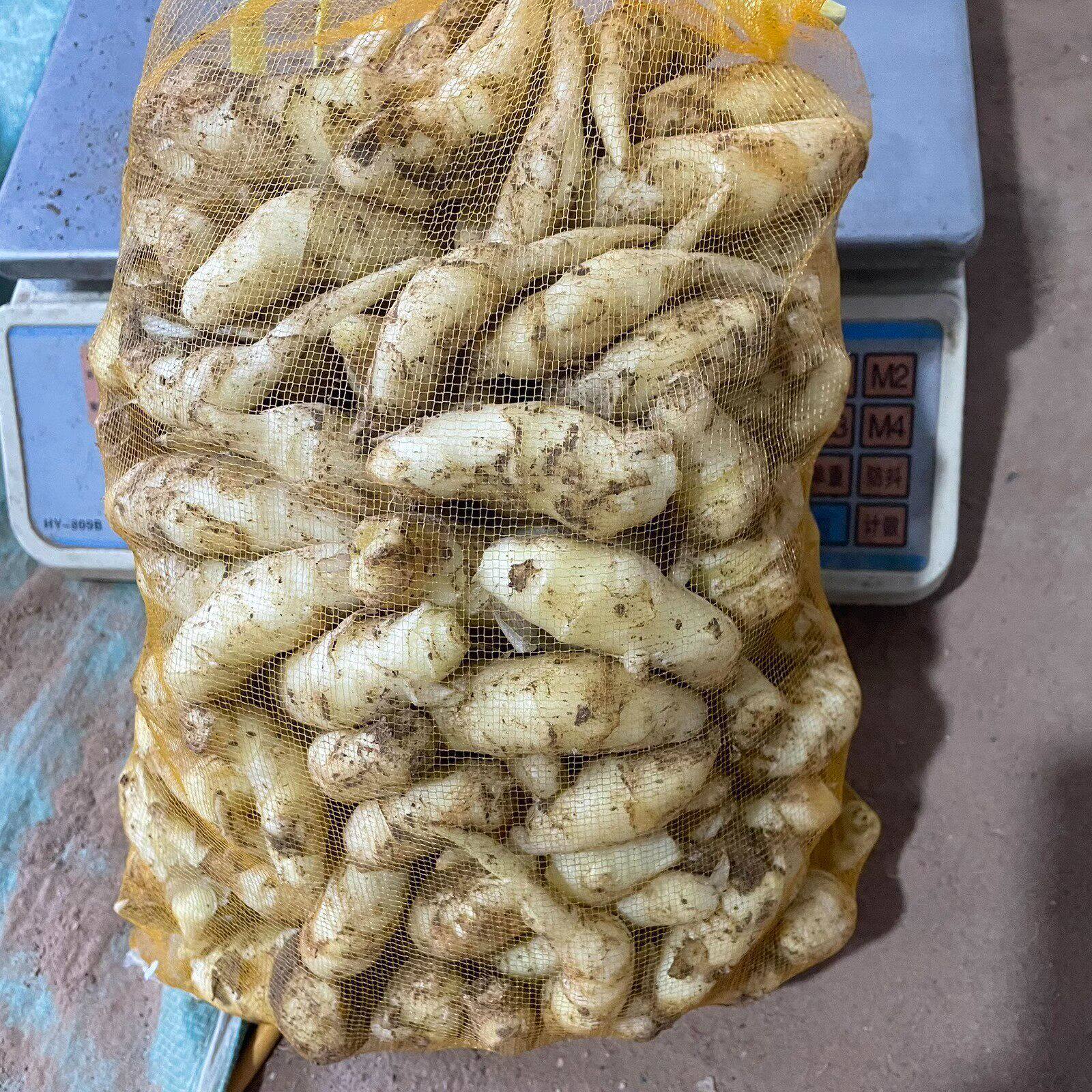 嫩姜姜芽仔姜新鲜包邮五斤山东生姜醋泡姜泡菜红芽姜小嫩姜芽鲜姜