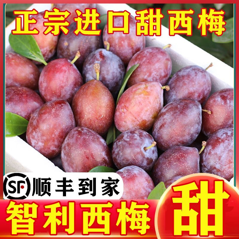 新鲜西梅5斤当季时令水果