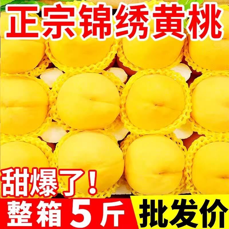 锦绣黄桃正宗桃子新鲜水