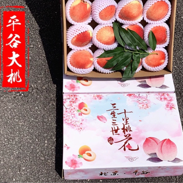 正宗北京平谷大桃绿化9