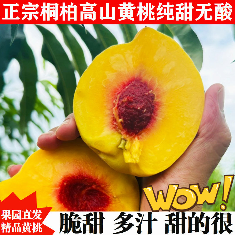 脆甜无酸桐柏黄桃锦绣巨