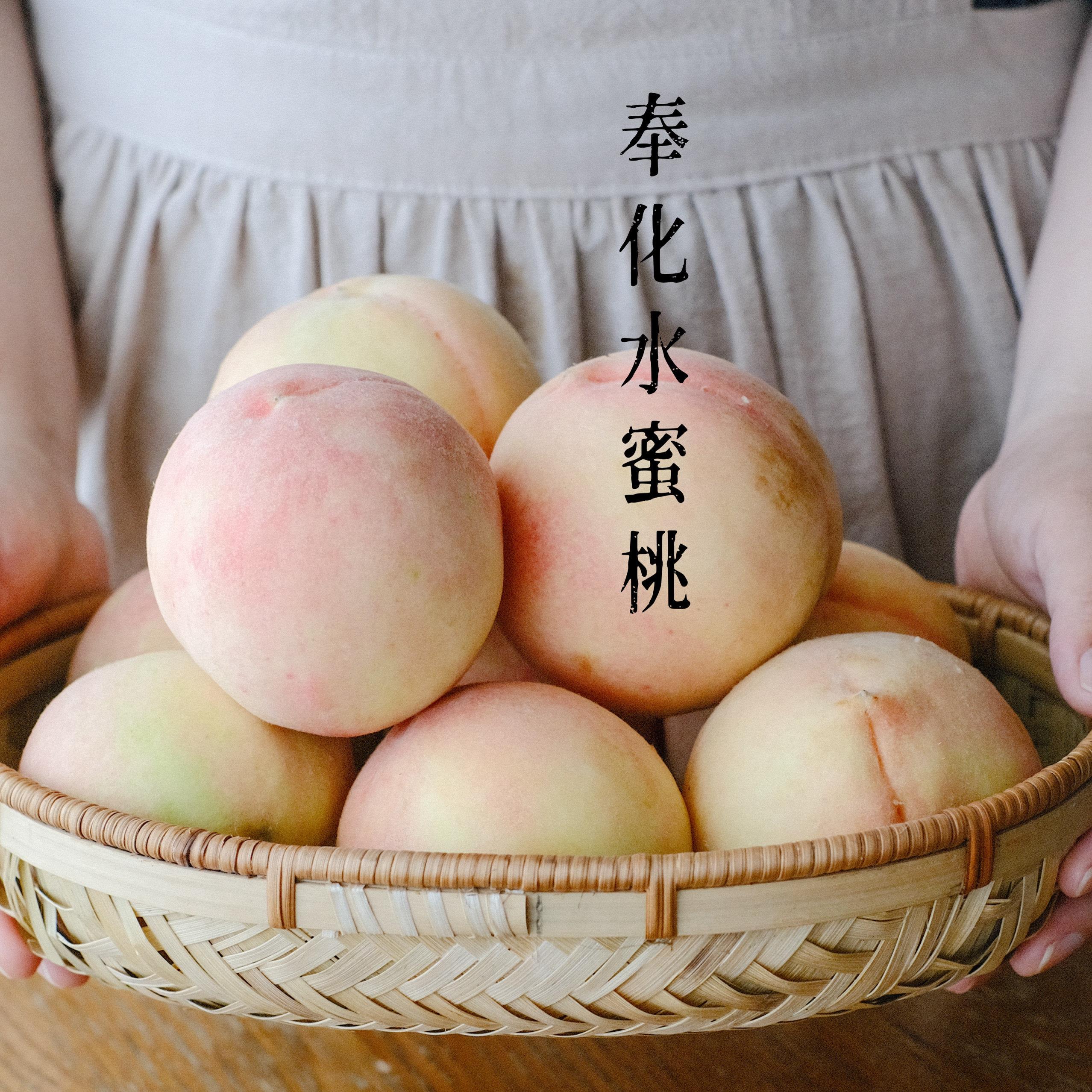 宁波奉化水蜜桃上市，产