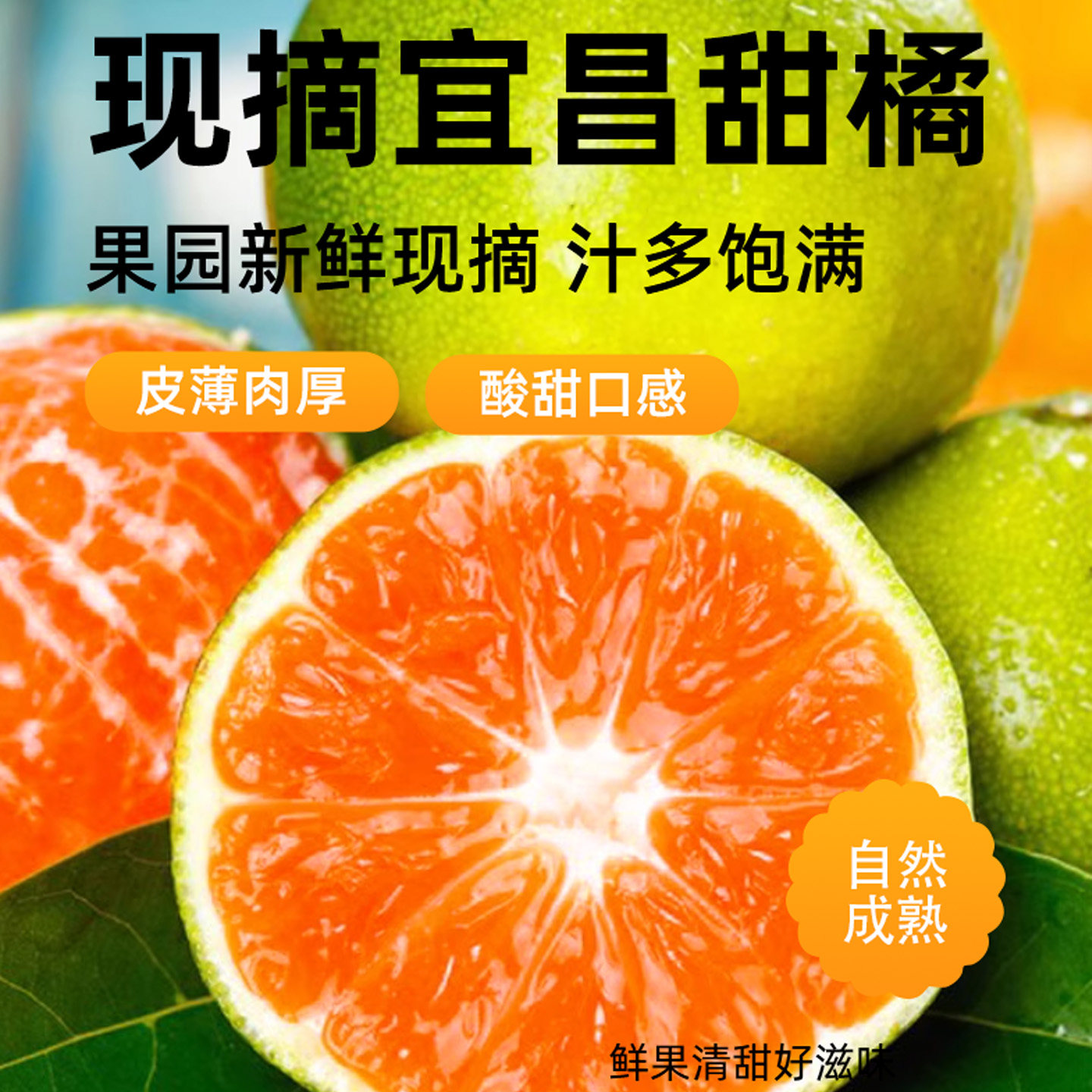 湖北宜昌早熟蜜桔青皮橘子酸甜新鲜桔子应季孕妇水果绿皮酸橘子