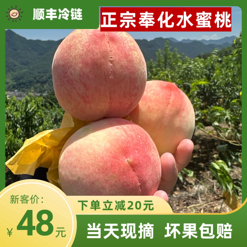 【顺丰包邮首单立减20】