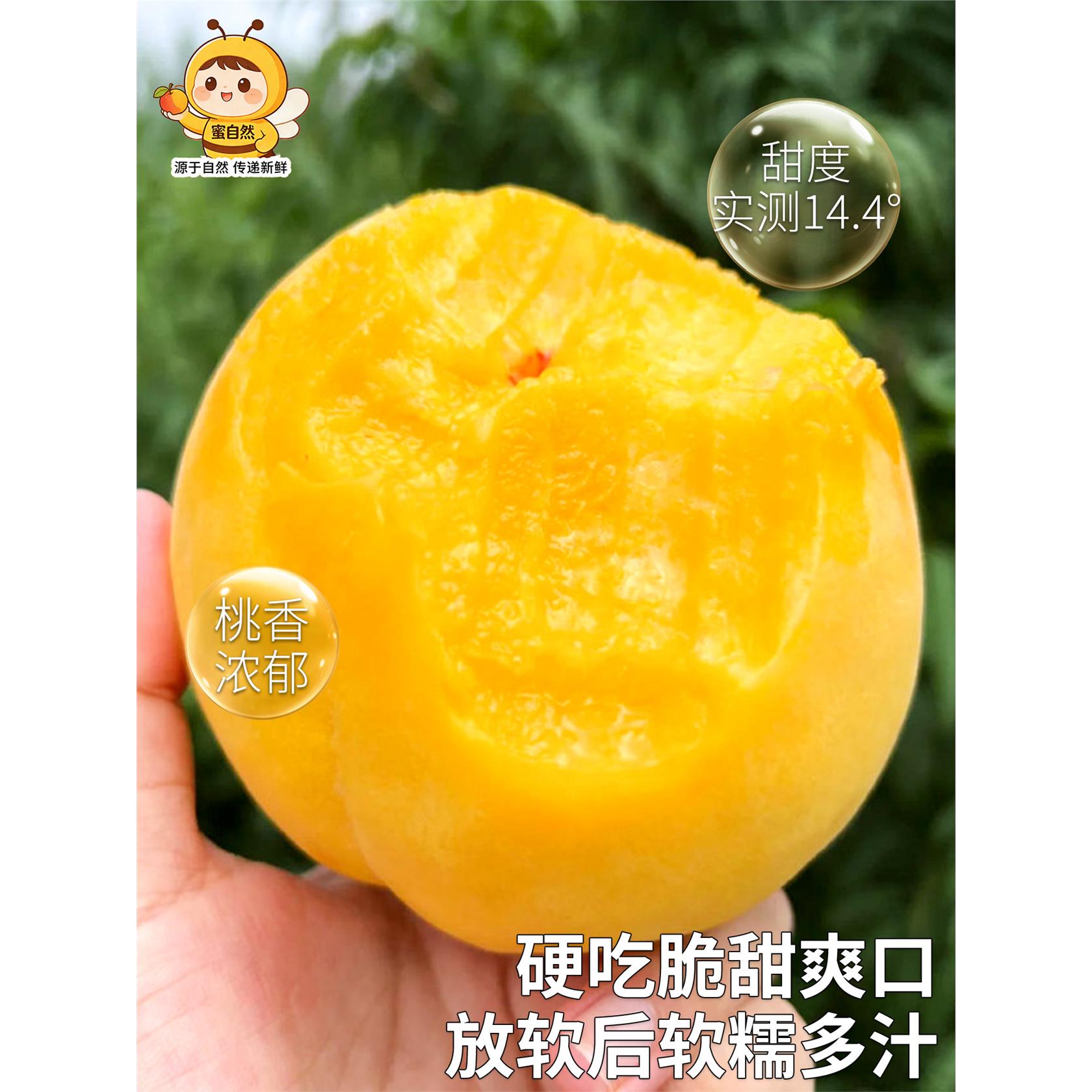顺丰桃子黄桃应季新鲜水