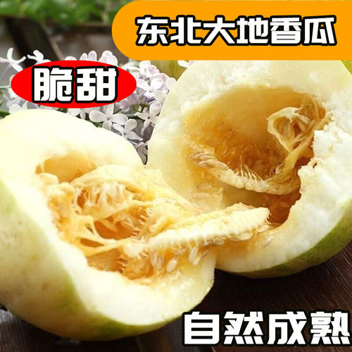 东北大地香瓜甜瓜新鲜当季水果特产白糖罐蜜瓜京东顺丰包邮整箱