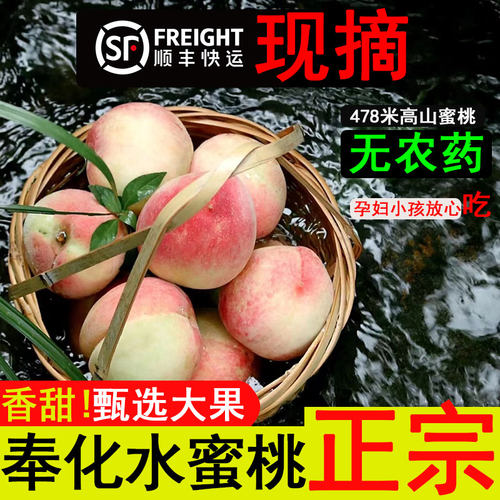 【顺丰包邮】奉化水蜜桃