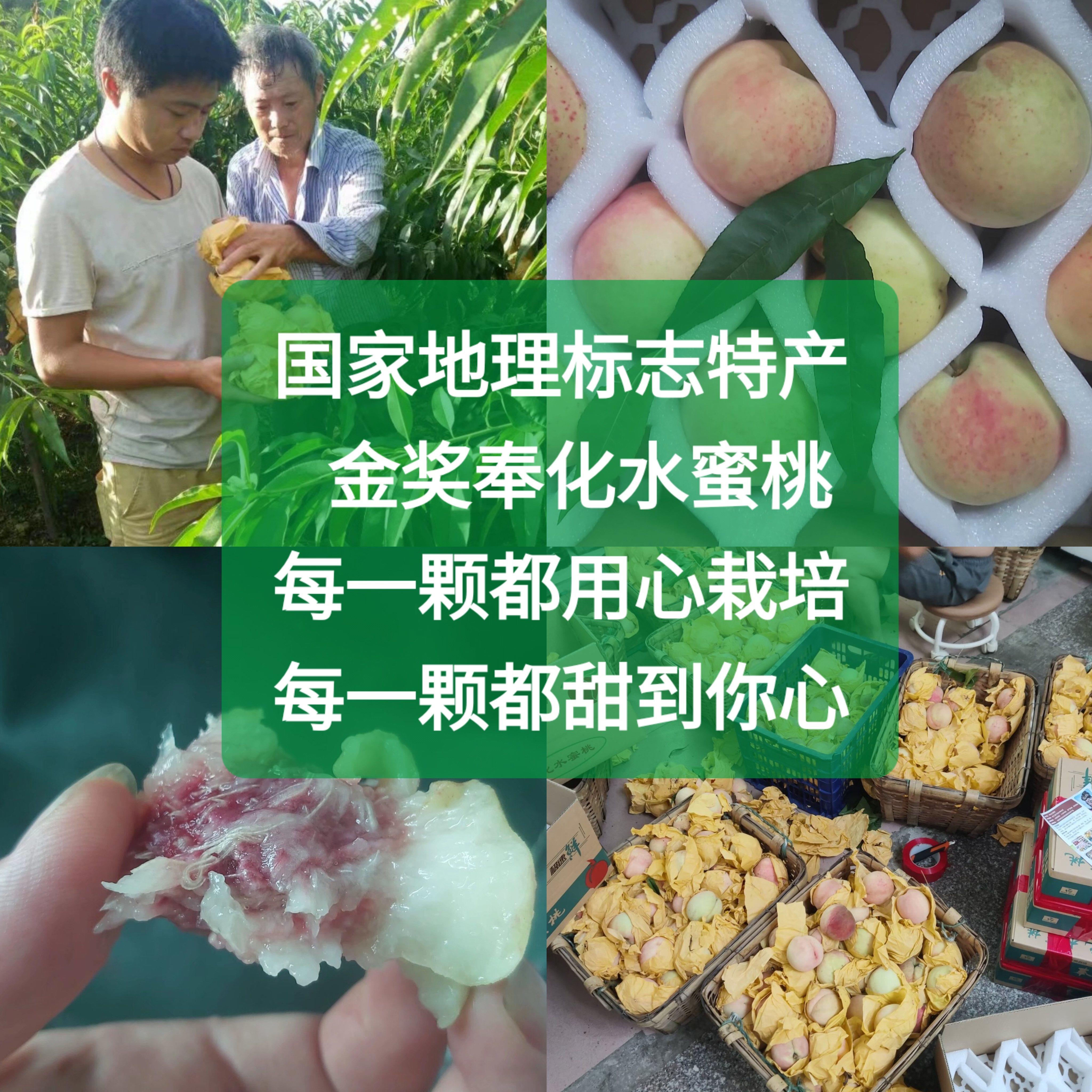 萧王庙农家正宗奉化水蜜