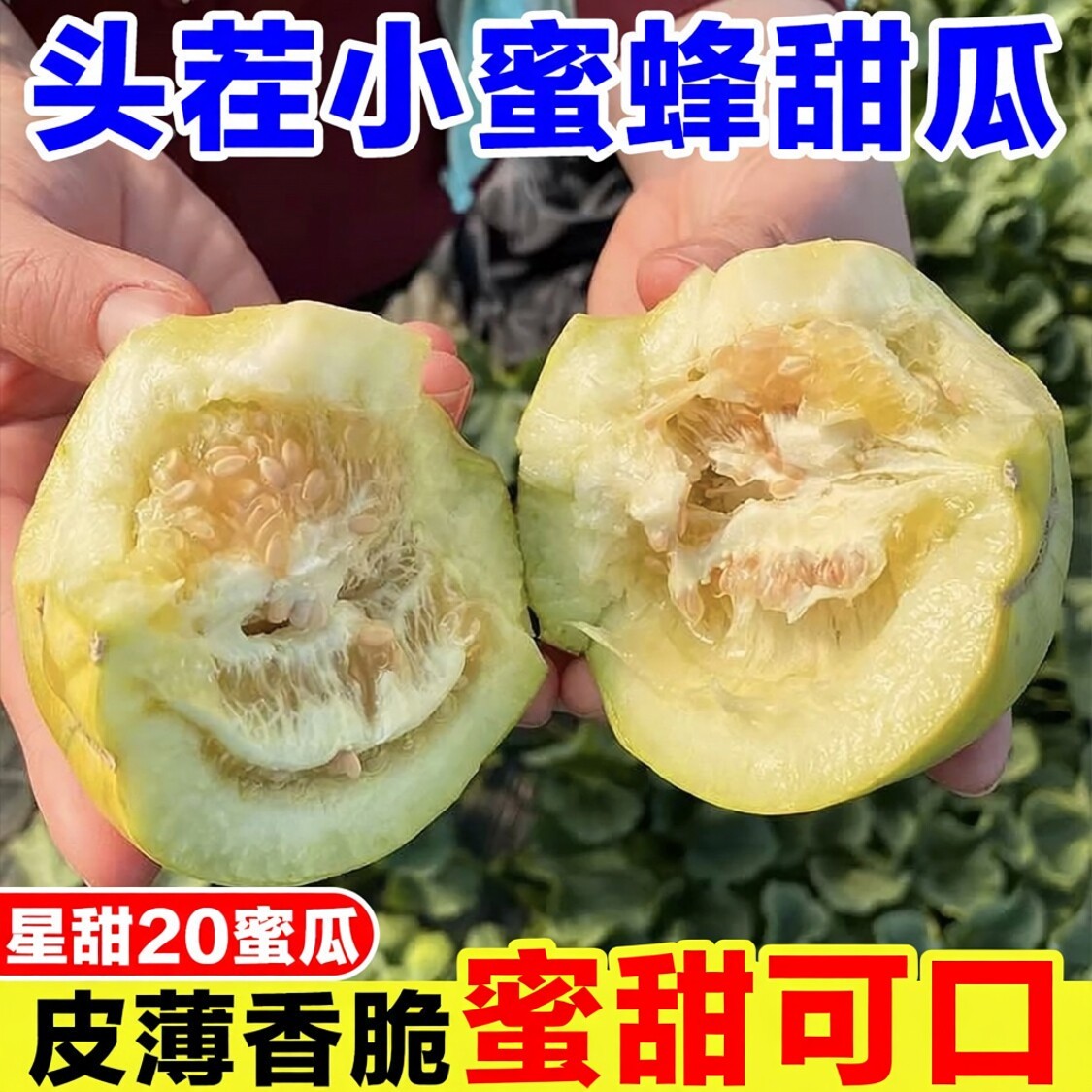 头茬蜜罐甜瓜新鲜小蜜蜂甜瓜当季水果正宗星甜20香瓜早甜脆瓜蜜瓜