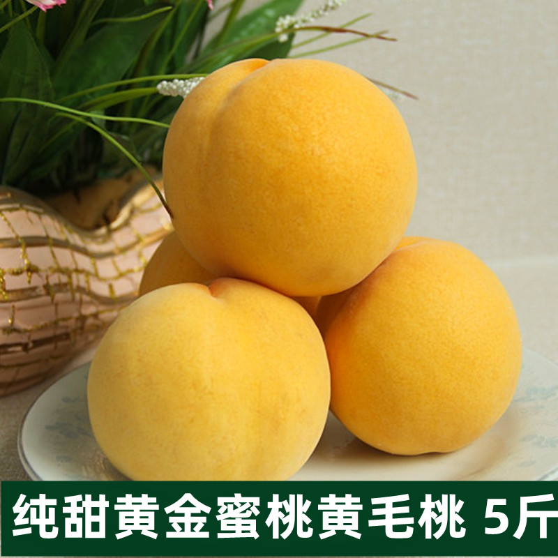 黄桃新鲜水果黄毛桃当季