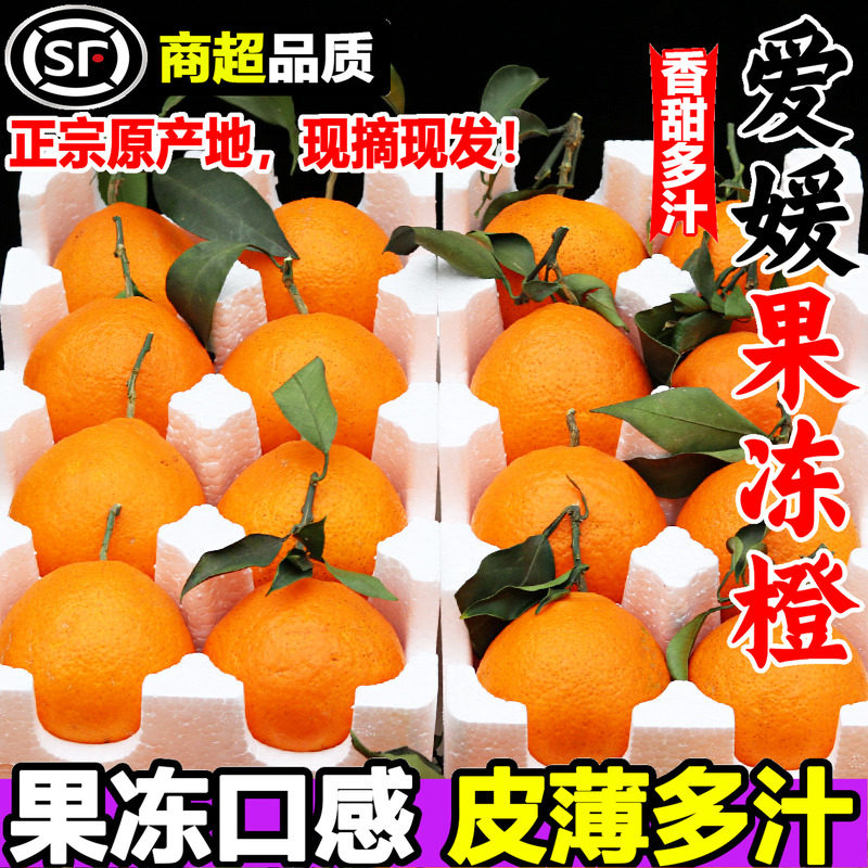 四川爱媛38号果冻橙10斤装新鲜橙子当季水果柑橘蜜桔子9整箱包邮5