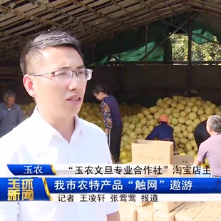 正宗玉环文旦柚子当季整箱孕妇老树新鲜水果蜜柚浙江台州楚门特产