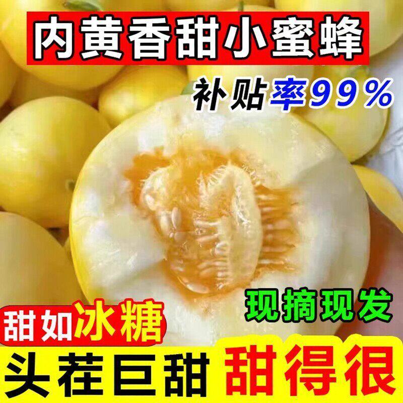 【河南内黄】头茬现摘星甜20小蜜蜂甜瓜蜜罐甜瓜新鲜多汁水果香瓜
