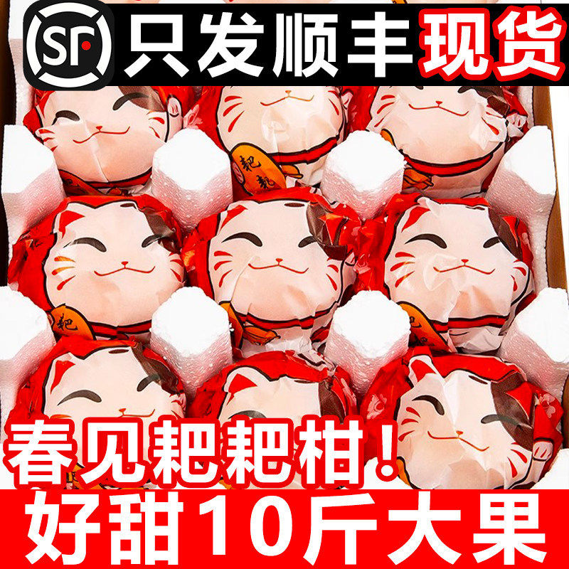 正宗四川春见耙耙柑10斤橘子新鲜水果丑柑桔粑粑柑当季杷杷柑礼盒