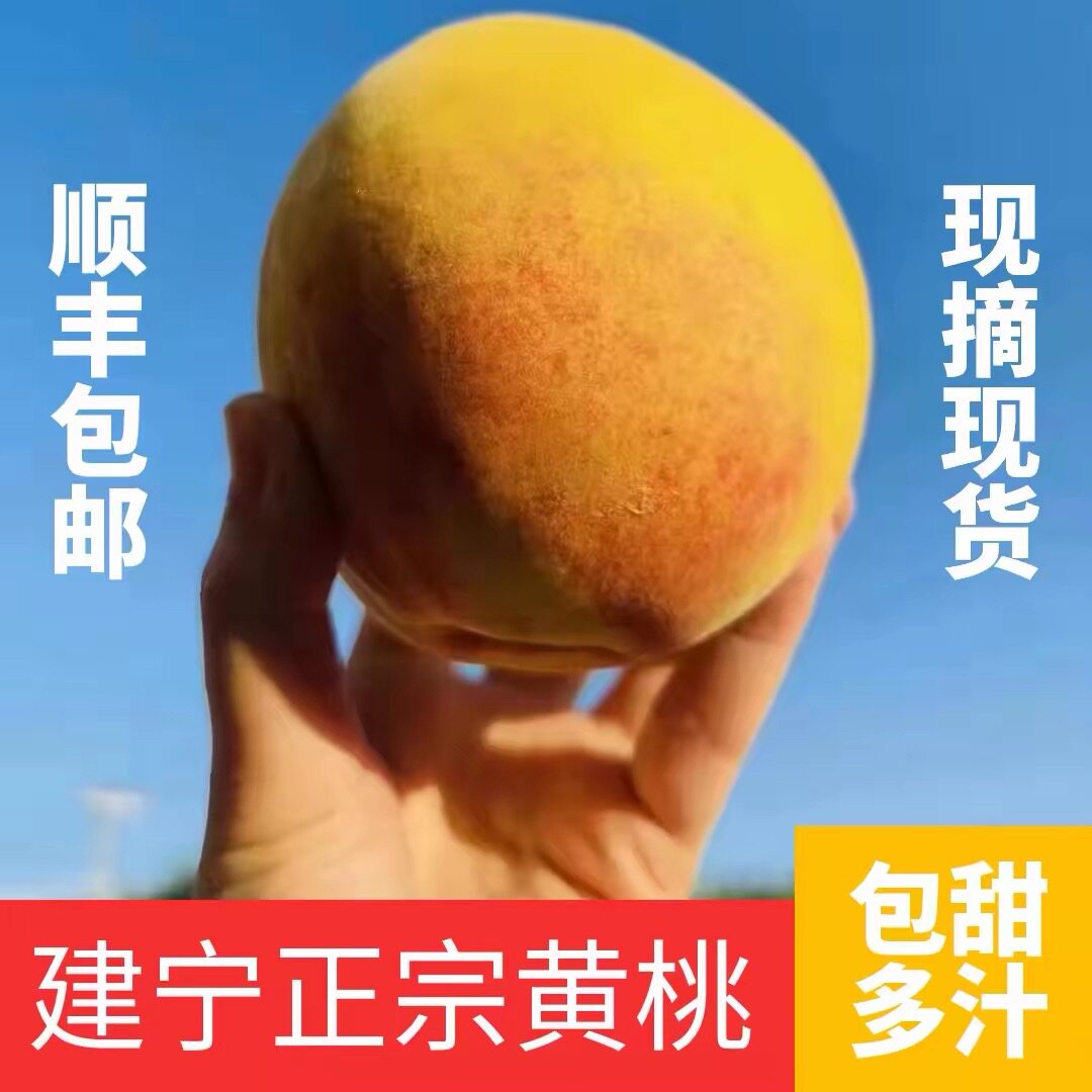 2026年建宁锦绣黄桃现摘
